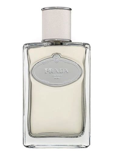 prada l eau fragrantica|best price Prada perfume.